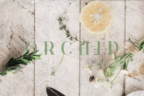 Orchid: An Elegant Serif for Modern Branding